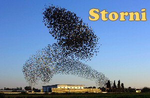 Storni